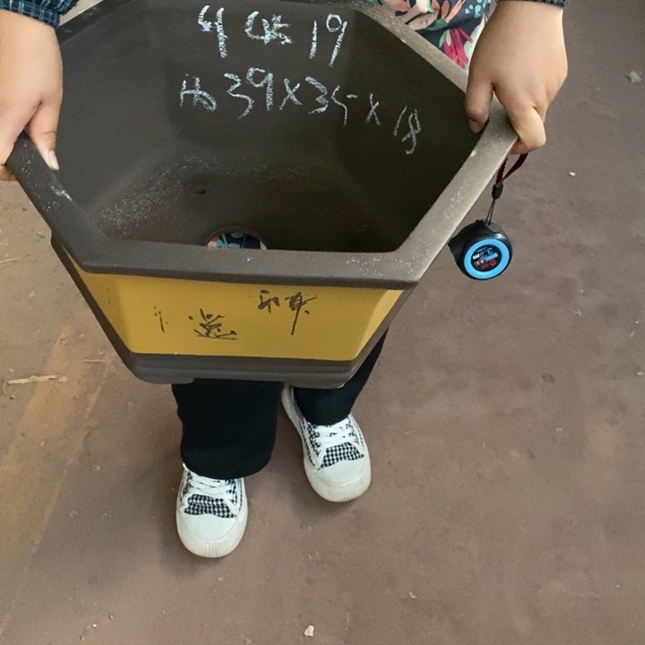 紫砂花盆自己的事情