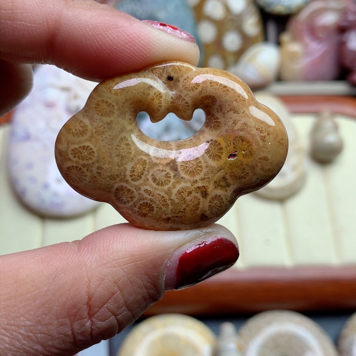 硅化珊瑚（珊瑚玉）颈饰未镶嵌