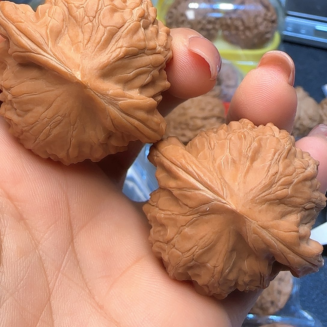 吊坠文玩核桃44血凤凰