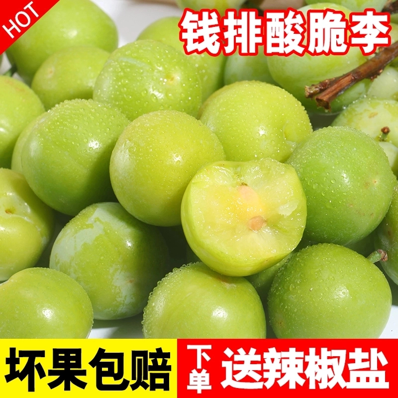 【清园价】钱排三月李子新鲜当季水果酸脆珍珠李青李子三华李整箱2斤3斤广东省广东省