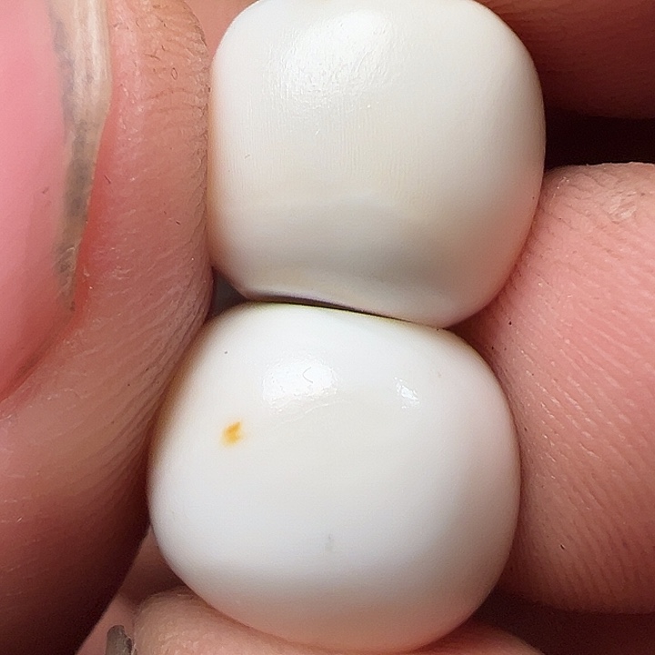 我们都是在这里看到的哈