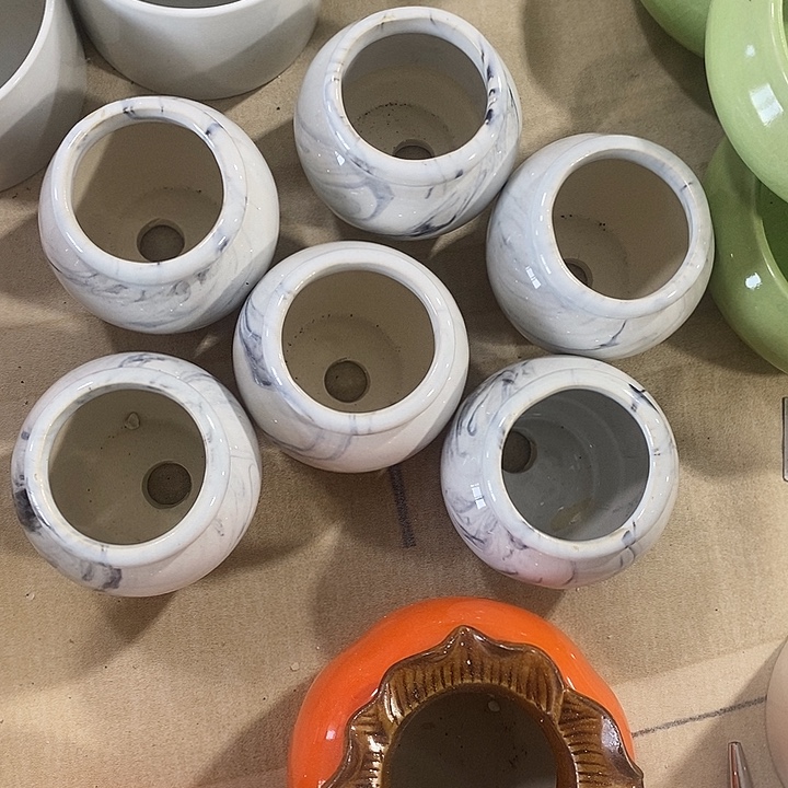 花盆抢购清货马上开始