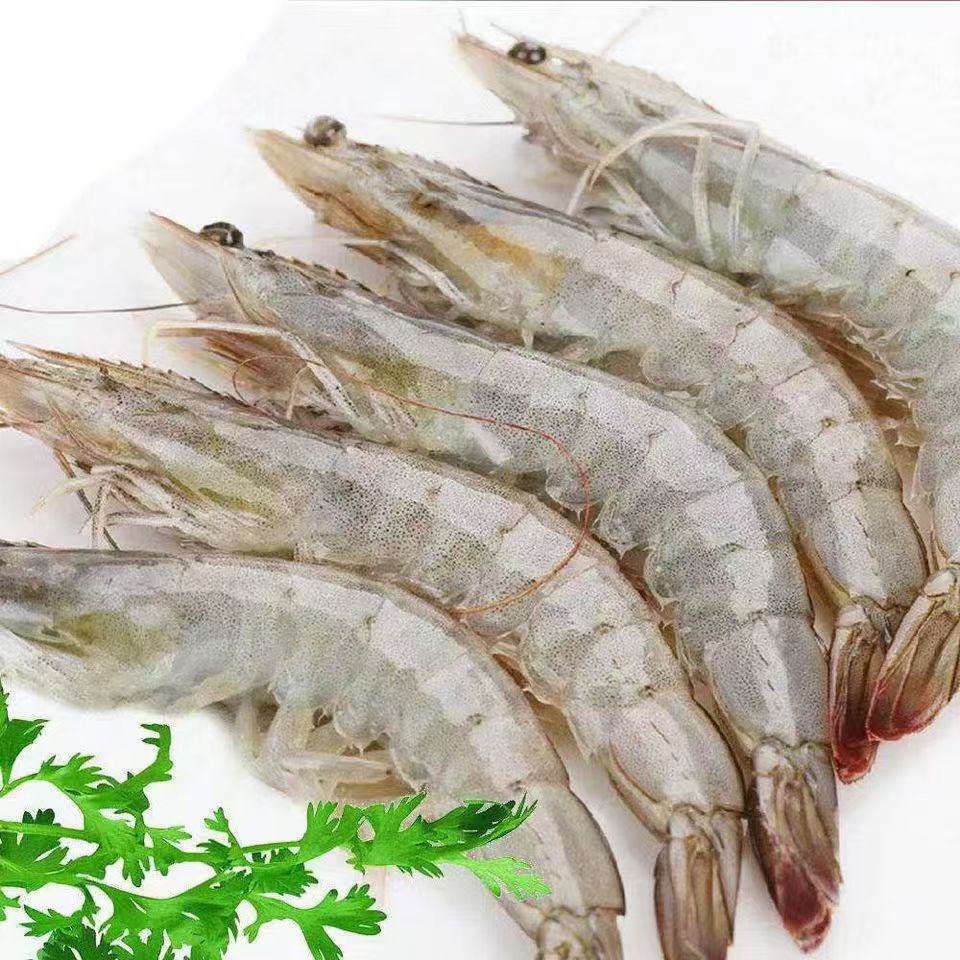 新鲜海洋大虾活虾速冻69/4斤 13-16cm 45-55只左右 顺丰发货