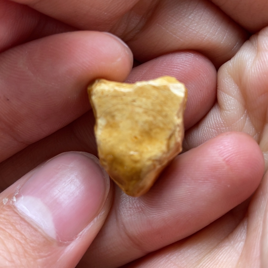 定制琥珀未镶嵌天然蜜蜡