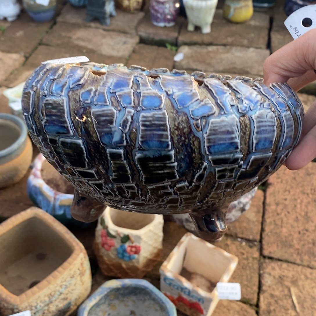 94号多肉盆口径15