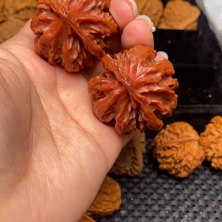 自*秦岭野生文玩核桃55