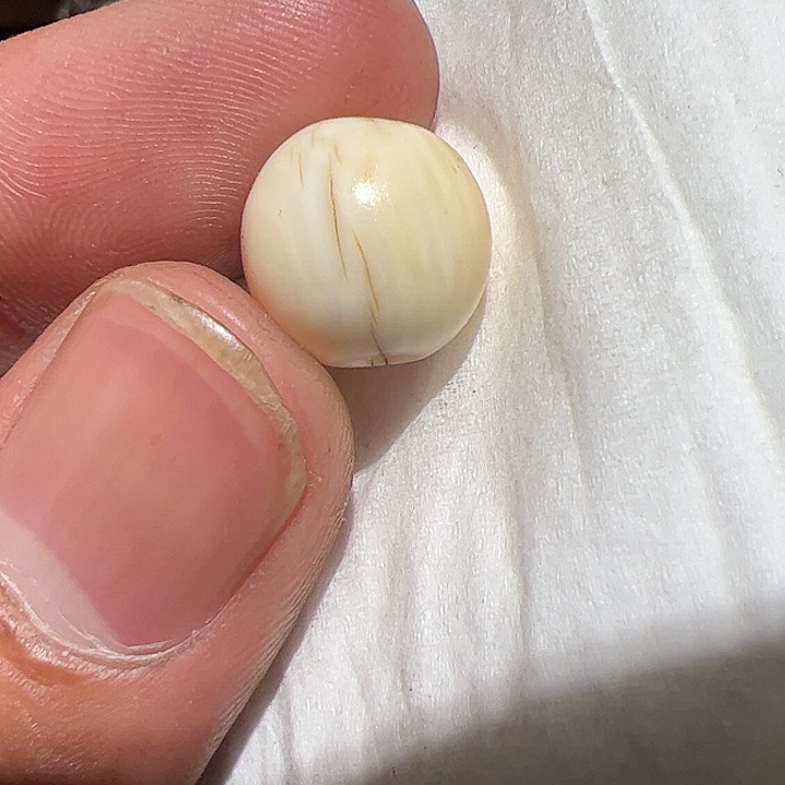 香榧木在家了一个人