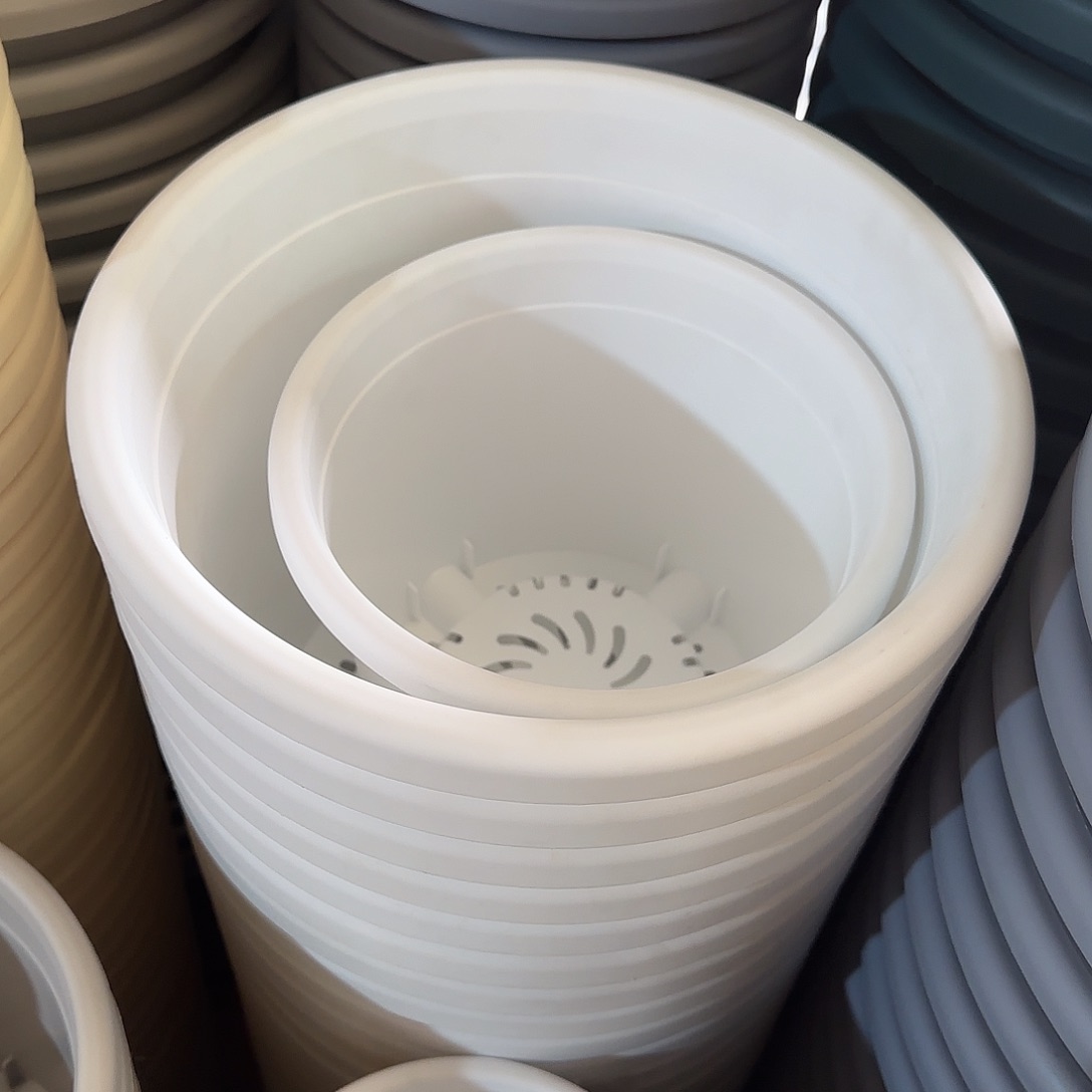 树脂四季4号无托6个白色