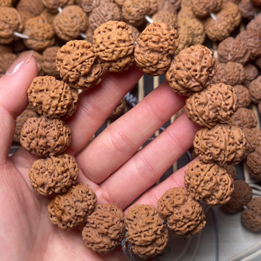 菩提尼泊尔大金刚原生态梅花23