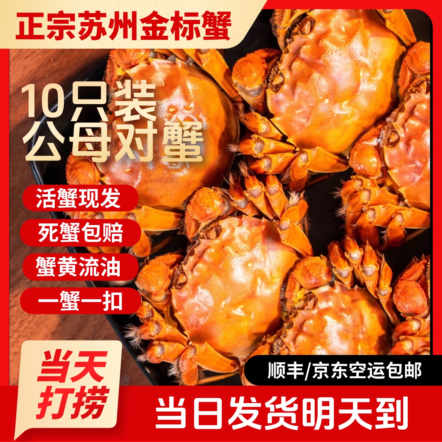 【苏州活蟹现货】江苏鲜活大闸蟹公蟹5.5-5.2两母蟹4.5-4.2两5对10只精品金标蟹公母搭配 海鲜 鲜活现捞ZB