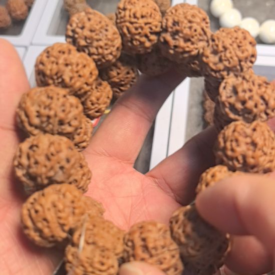 金刚菩提手串五星蜂王大金刚手串，22左右尺寸，原皮原色