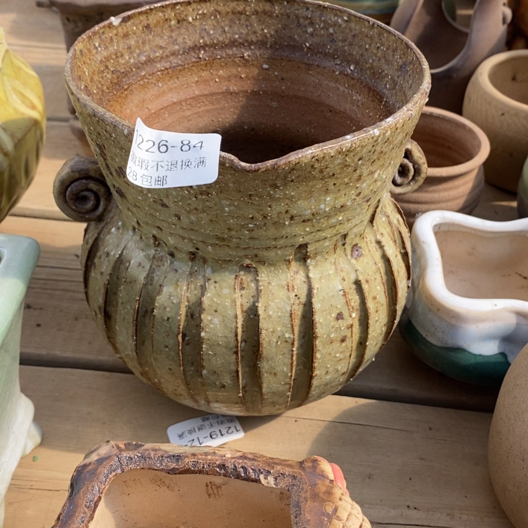 84号花盆内12高15微瑕