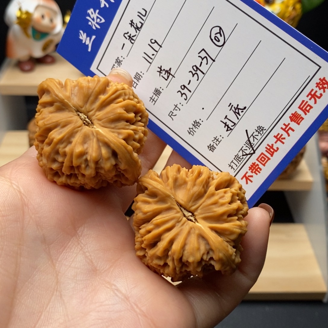 一***花三角涿鹿南将石（39-39-37）