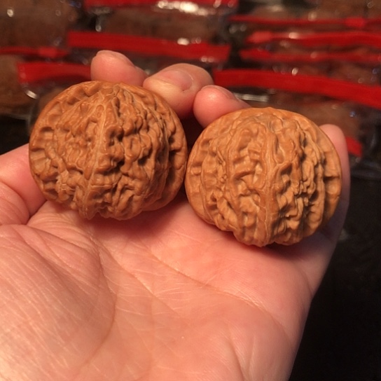 把件文玩核桃白狮子40