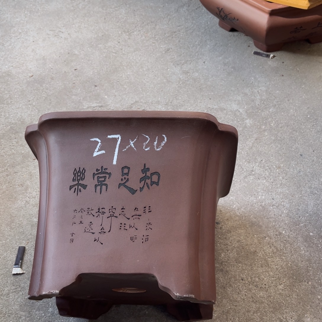 花盆紫砂盆景艺术