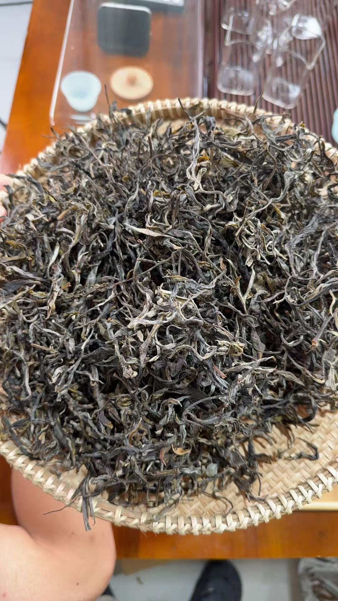 【515】2025年 懂过 单株头春 普洱生茶 散茶