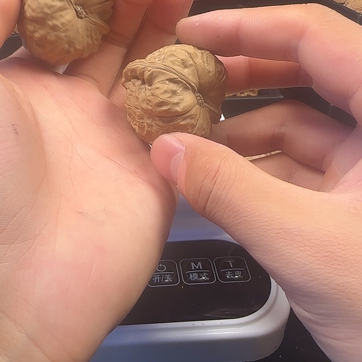 禁***钠龙脊菩提吊坠啊啊啊啊南瓜6