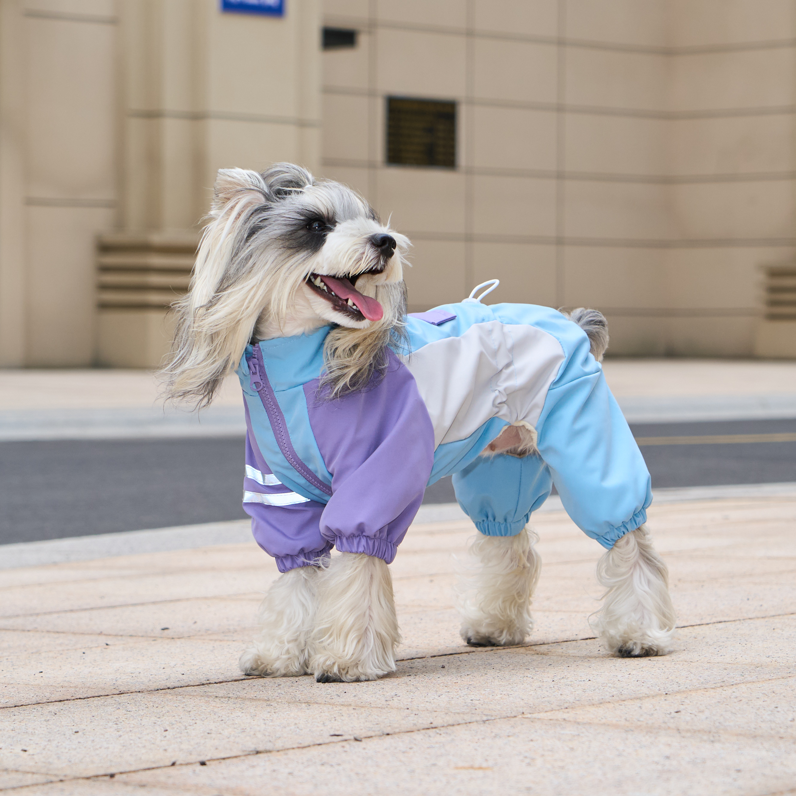 狗狗衣服秋冬四脚棉衣小型犬雪纳瑞比熊泰迪冬季保暖可牵引冲锋衣