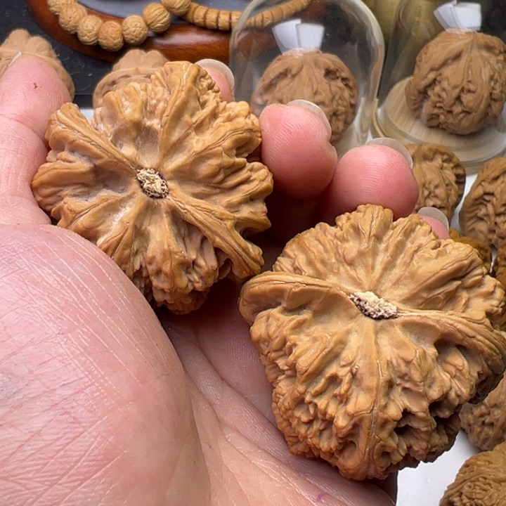 文玩核桃把件永***者芳芳大粗筋