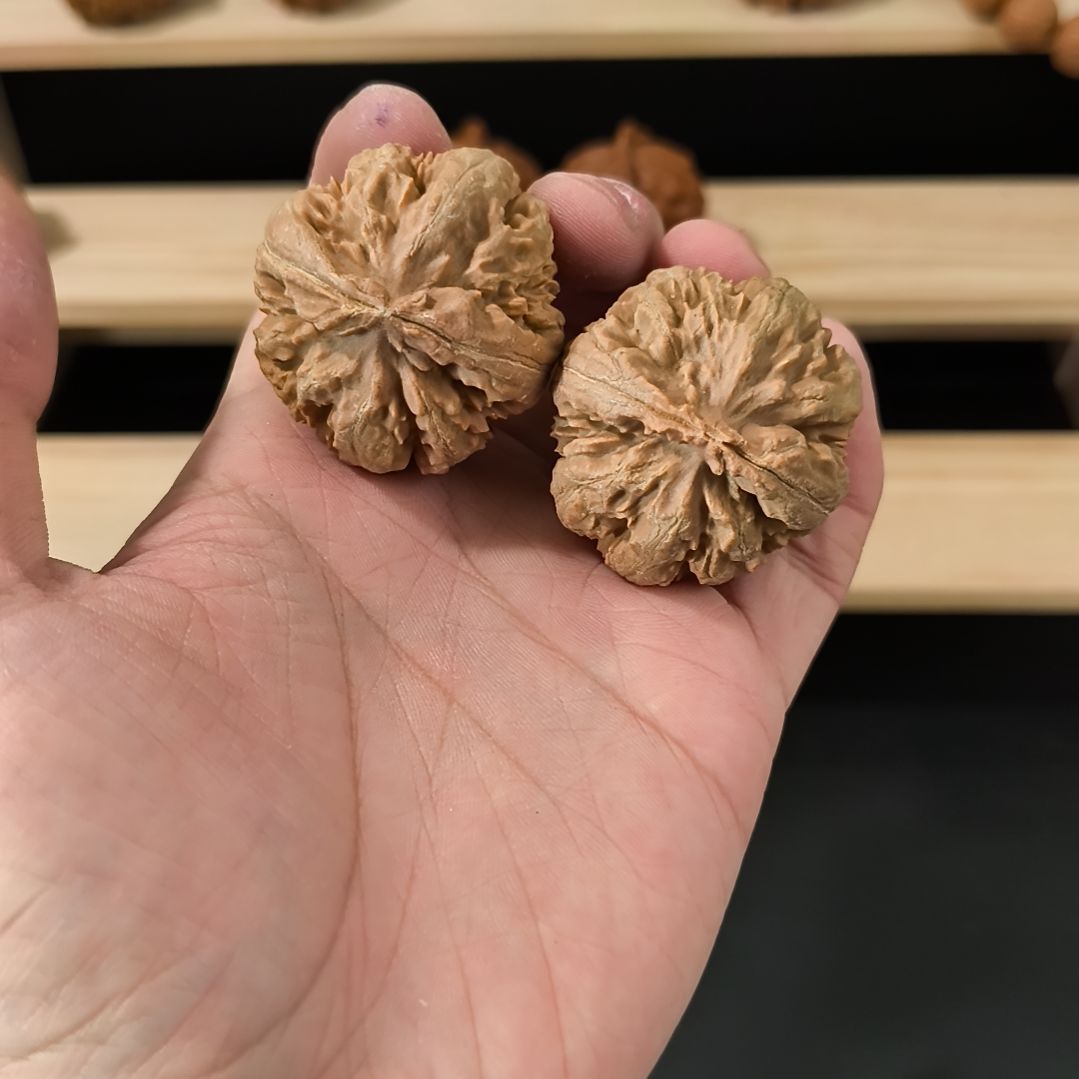 文玩核桃吊坠40霸王龙