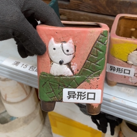 【闪购商品】红陶1