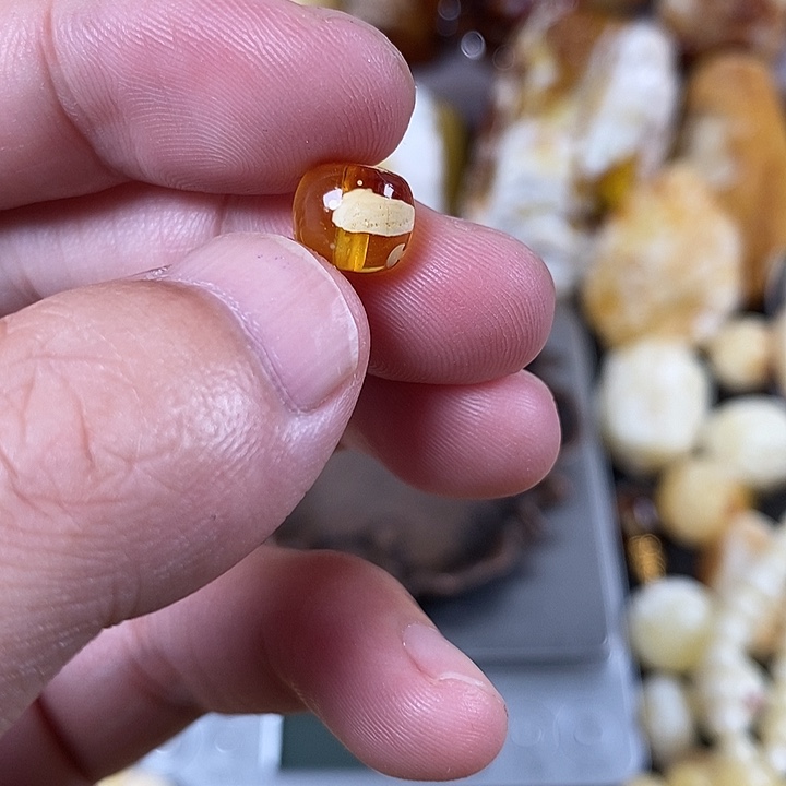 裸石琥珀未镶嵌我