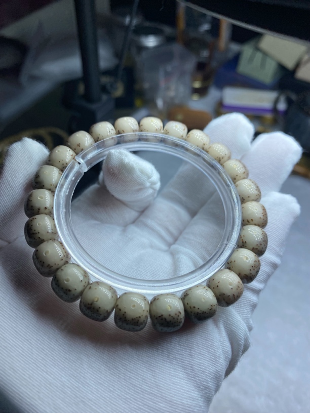 星月菩提灰瞳大眼睛10✖️9头条