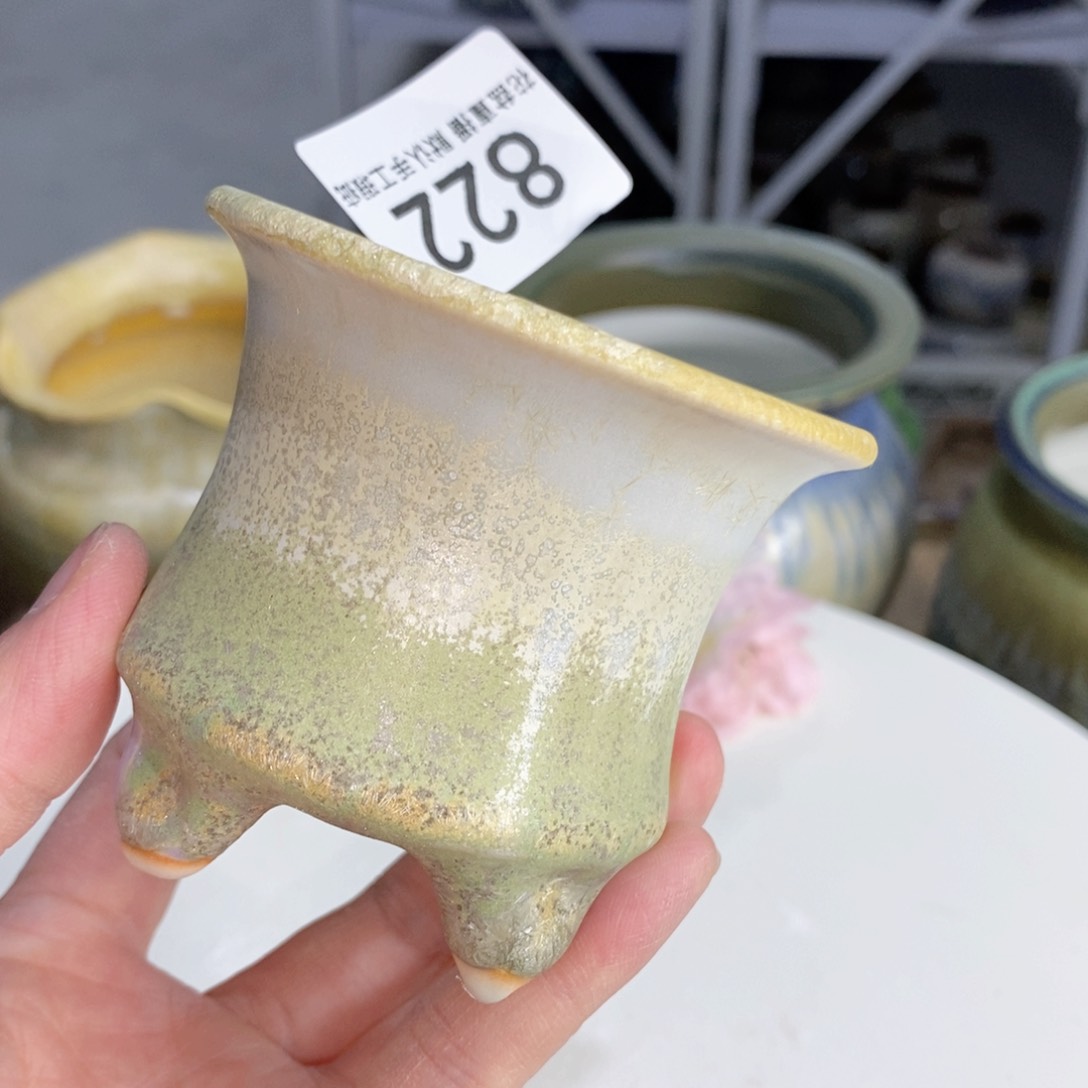 花盆花盆花盆花盆