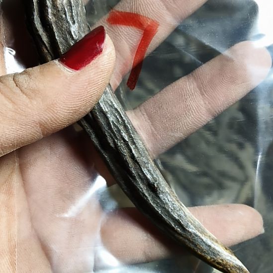 鹰***睛鹿角鹿角鹿角鹿角鹿角鹿角
