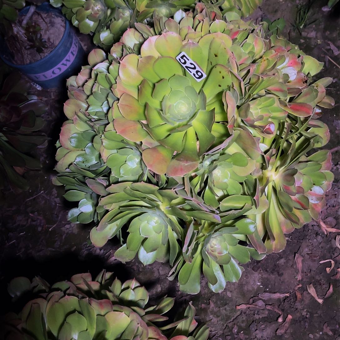 法师法师13-23%包邮法师