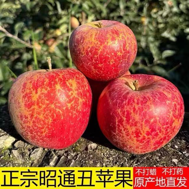 云南昭通糖心丑苹果脆甜多汁产地直发DS 