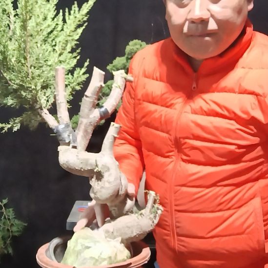 木***g无花朵好好好好好好