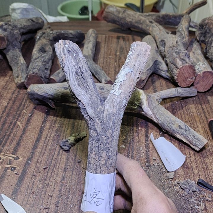 过***客火琉璃原杈不保沉水慎拍！