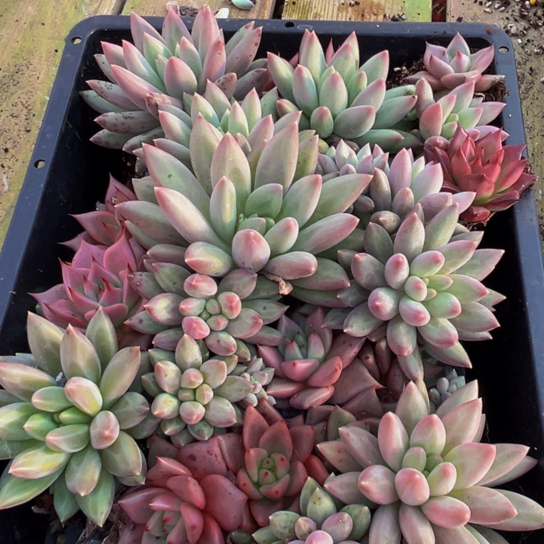 516财富传承vvvvv不能