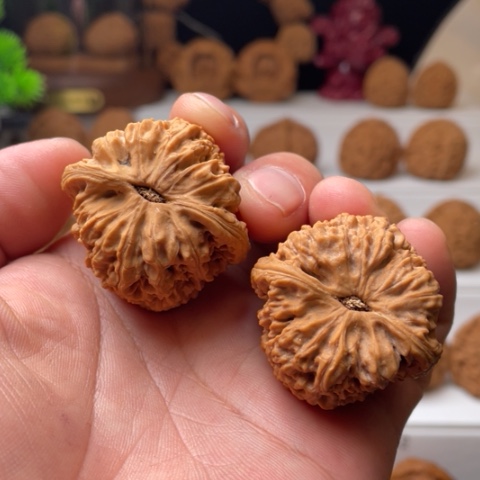 【闪购商品】把件文玩核桃天**,