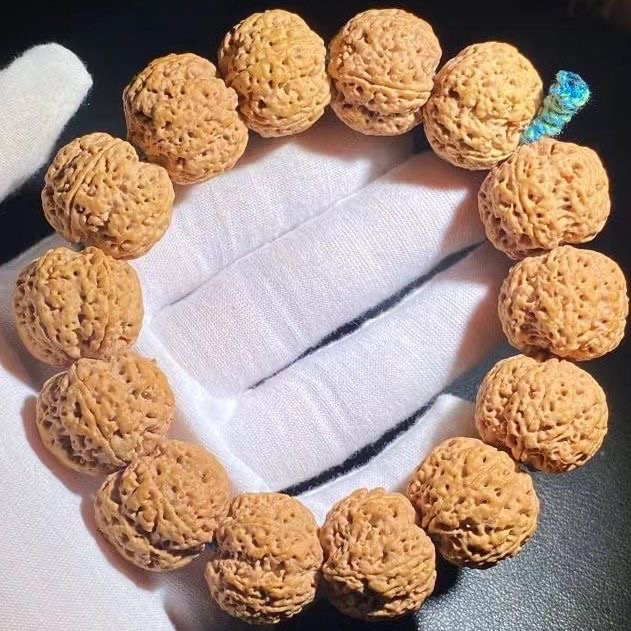 尼泊尔老树五星双龙满肉蜂王矮桩大金刚菩提手串文玩毕业级