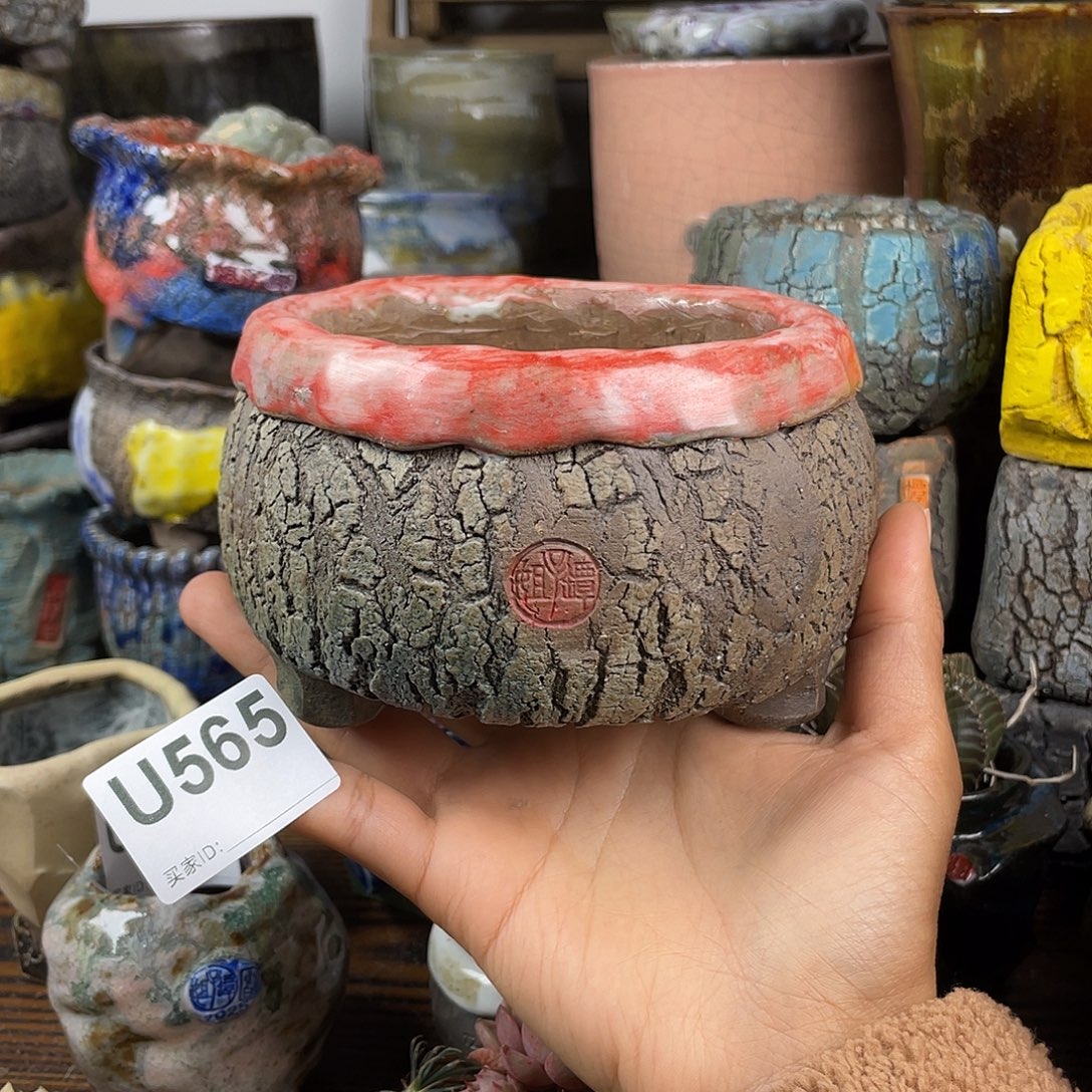 默认微次 元旦福利 坛子姐花盆