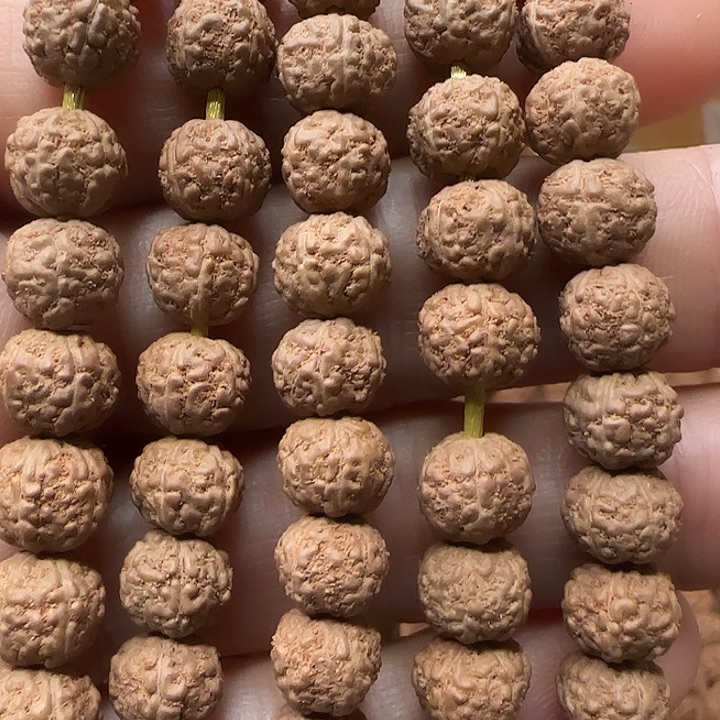 金刚菩提吊坠闷墩龙