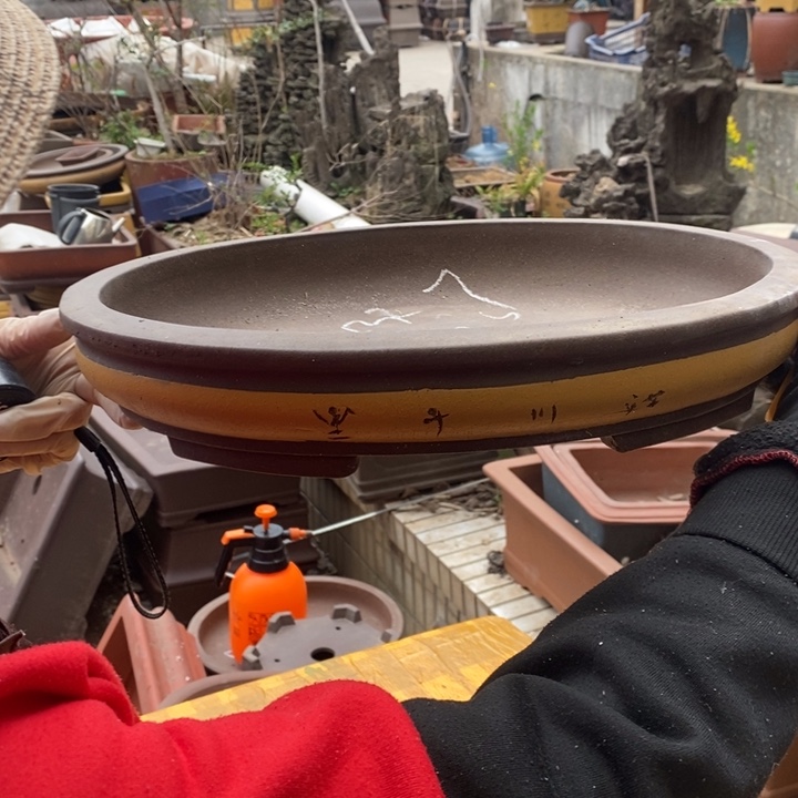 紫砂花盆自然然而