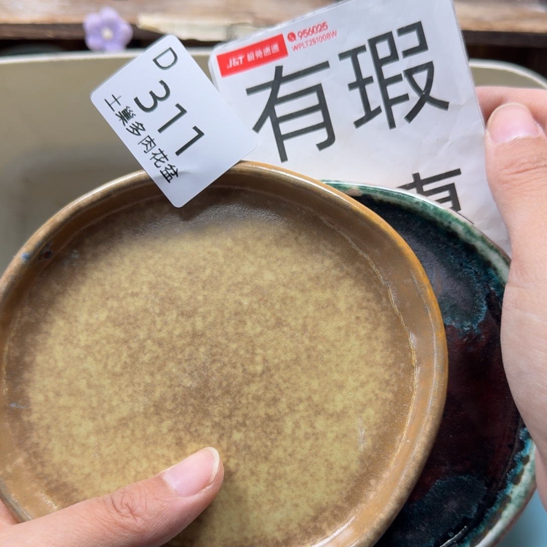 醉***陶瓷艺术品设计与制作