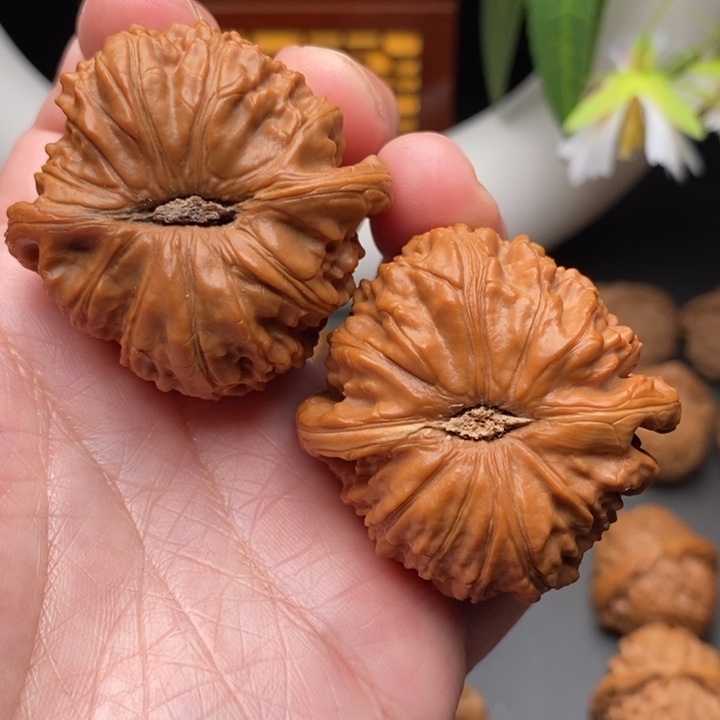 文玩核桃把件垂*者白狮子45