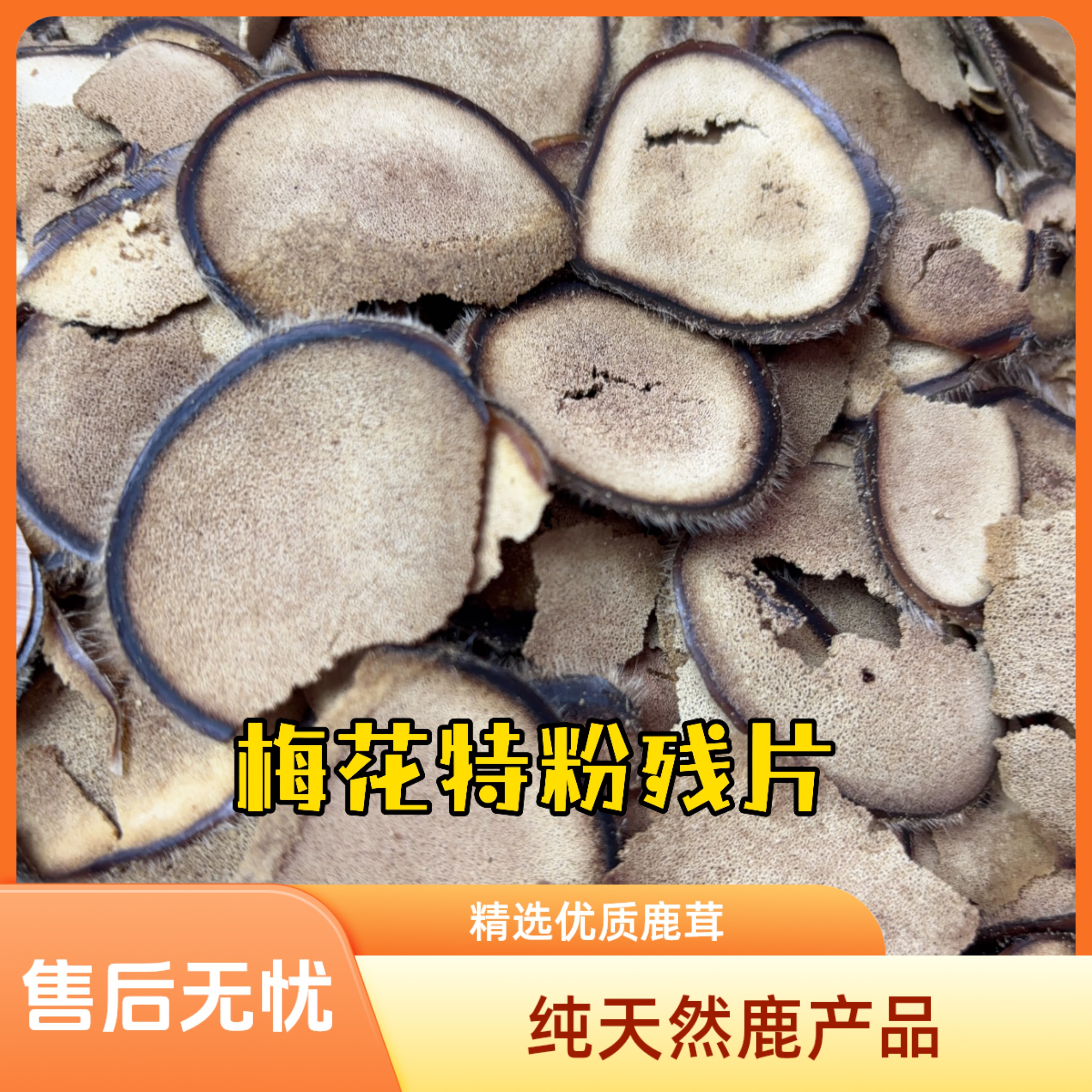 正宗梅花鹿特粉残片（泡水 煲汤 泡酒 打粉）