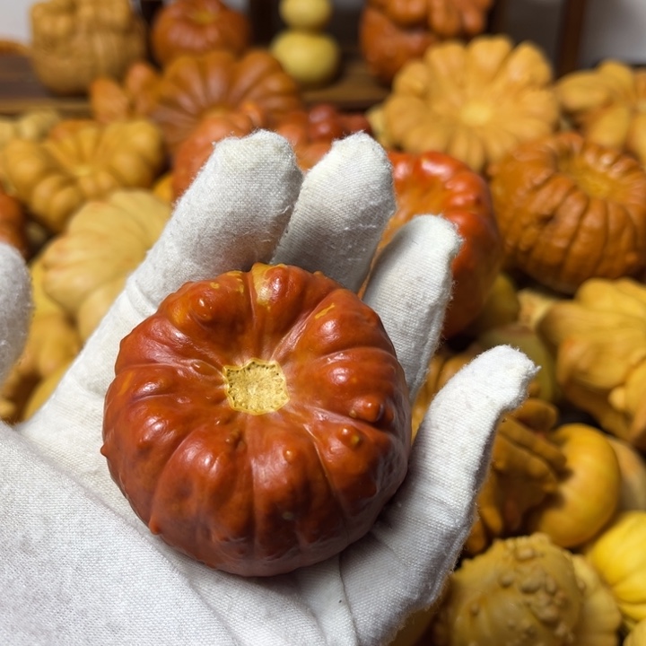 我的墨西哥七彩葫芦