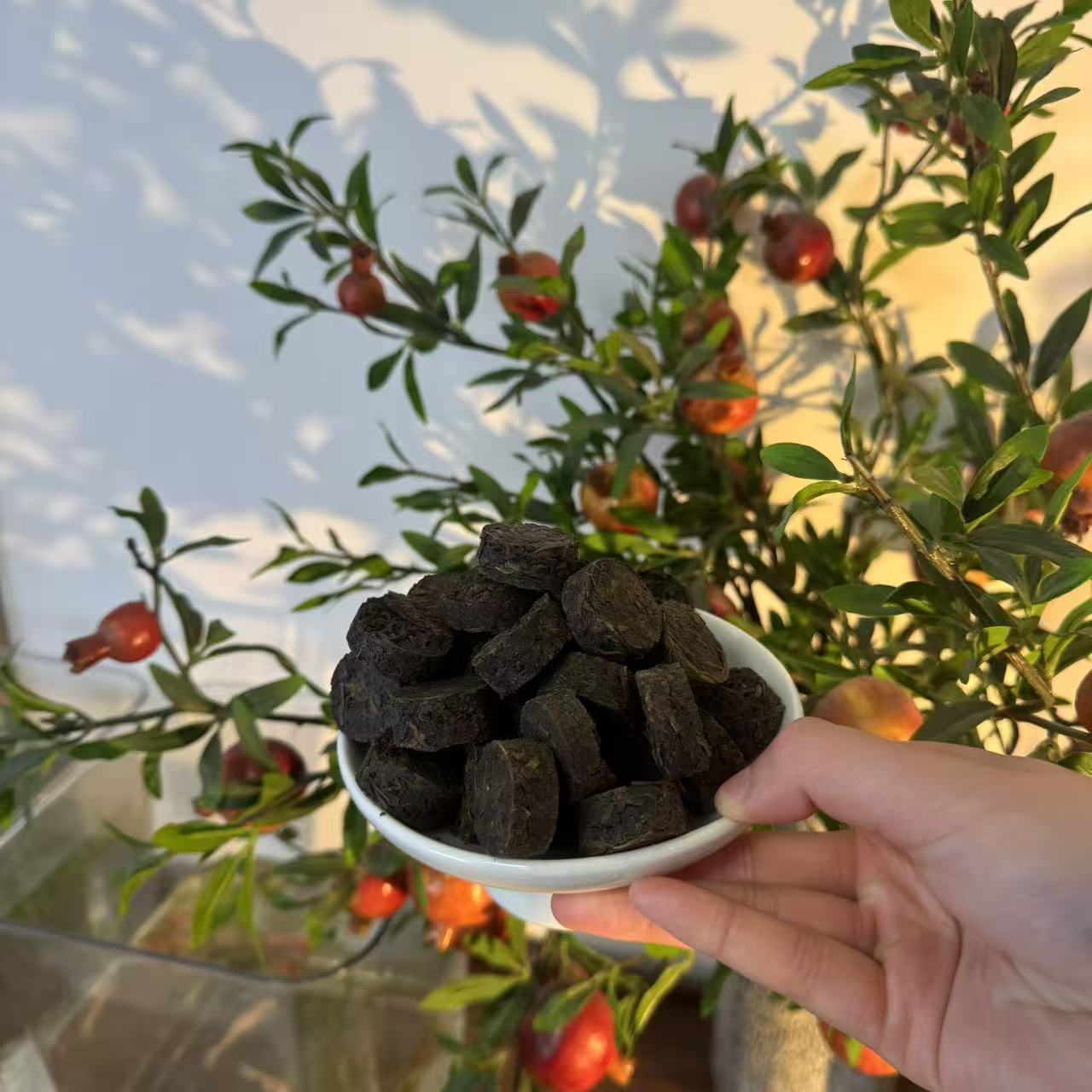 一盏雲——安化黑茶2018年云台山纽 扣200克