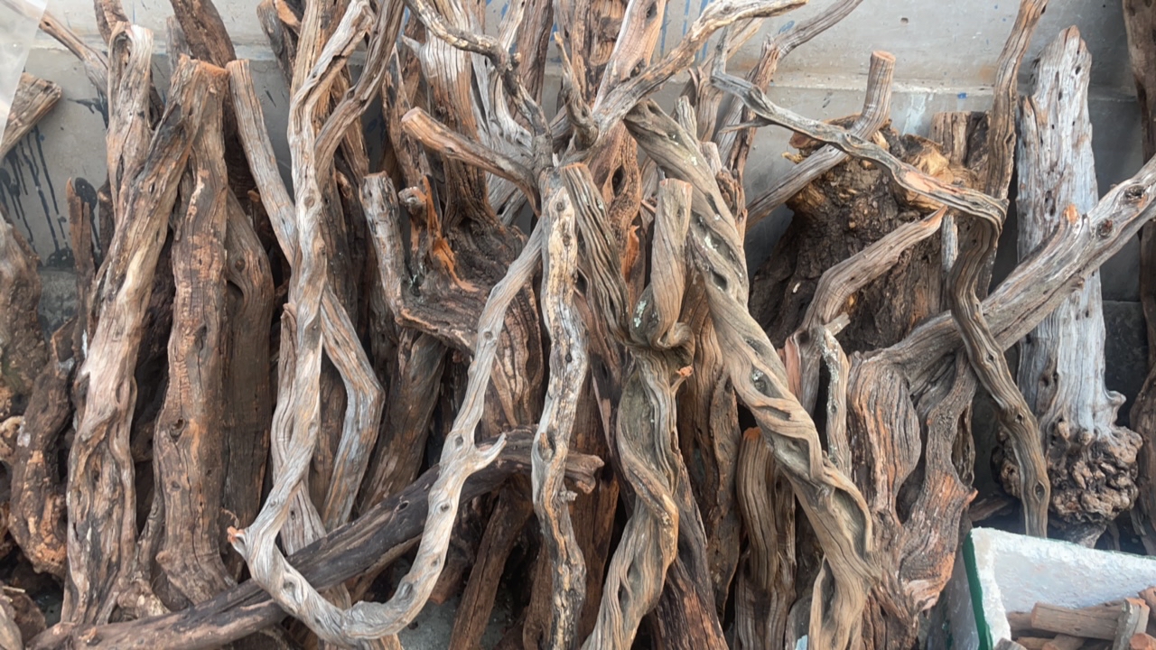 六道降龙木，登山棍，鞭杆棍。直播链接慎拍