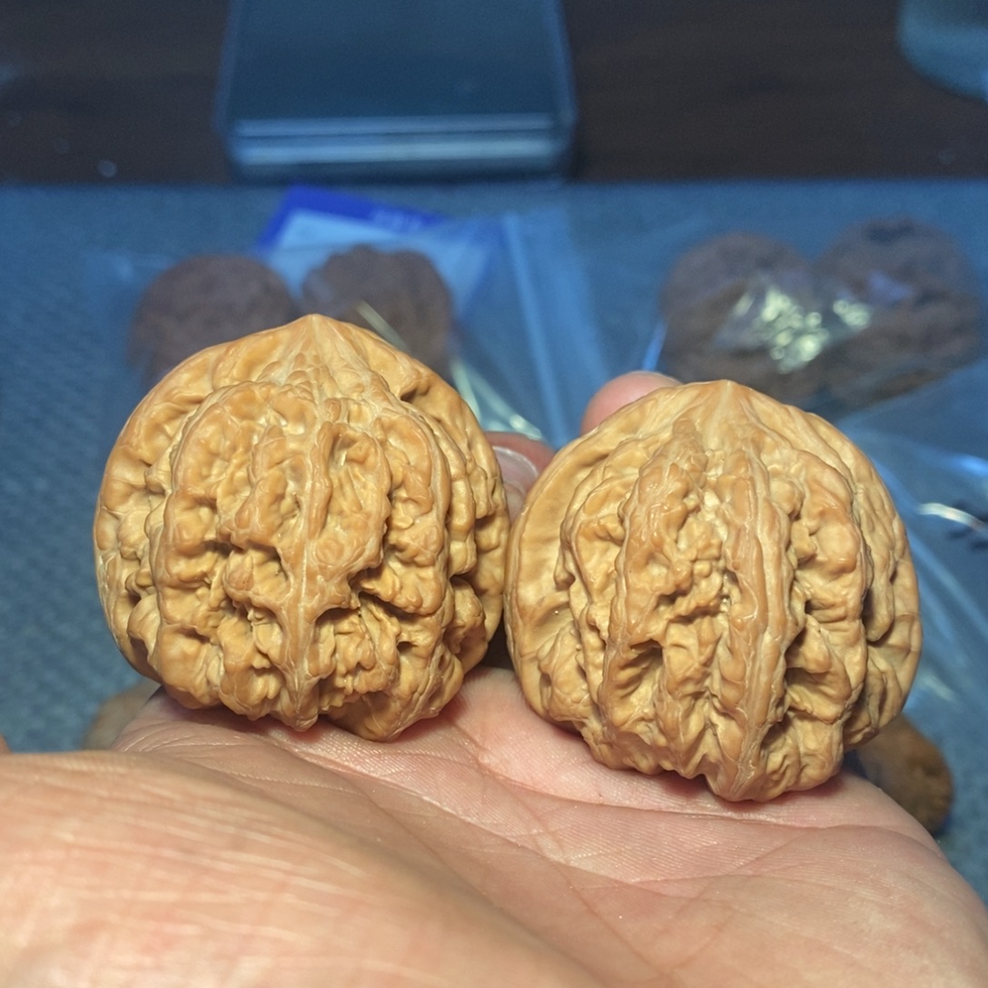 44粗筋 全品。     
