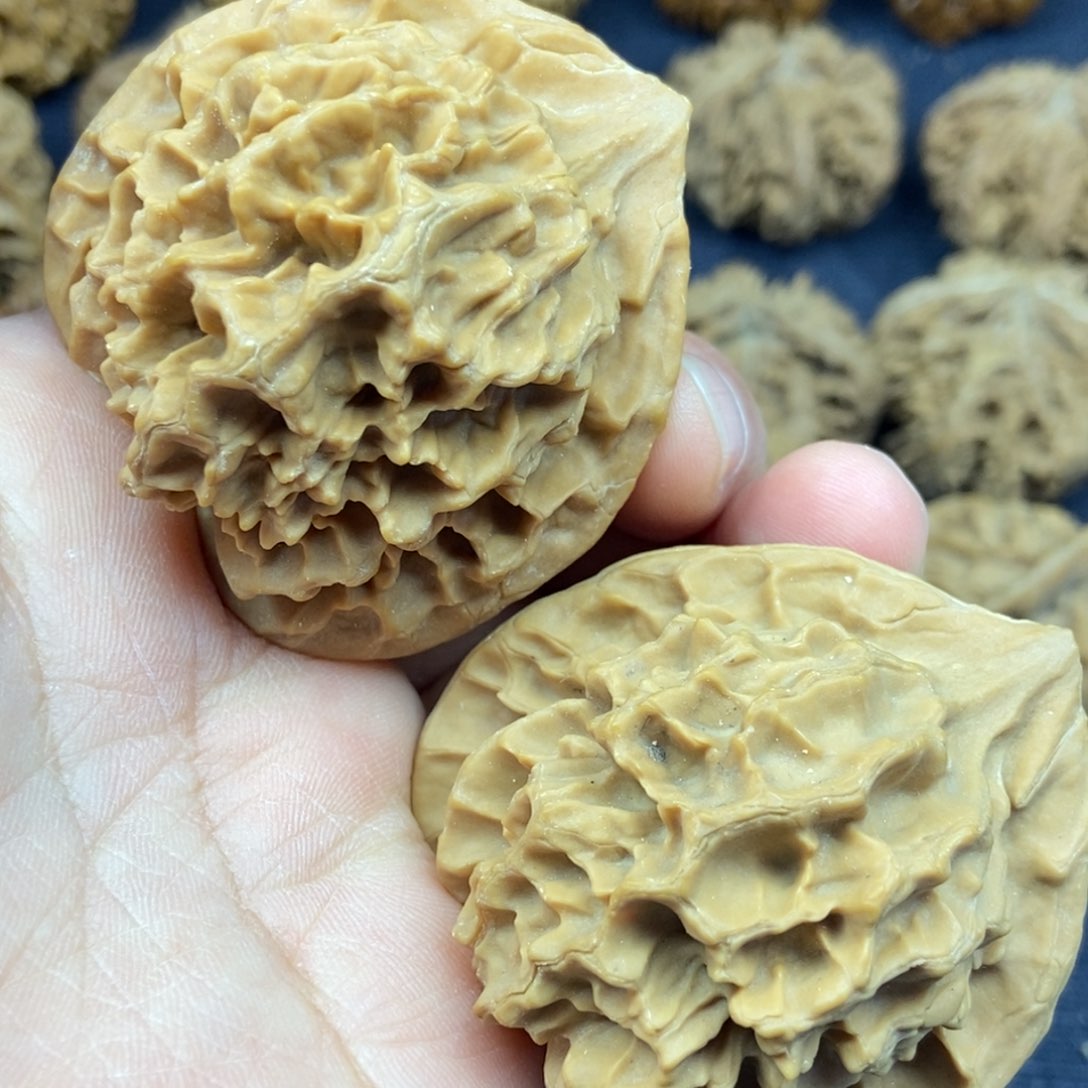 七**虫秦岭核桃帝王大花8号链接888888