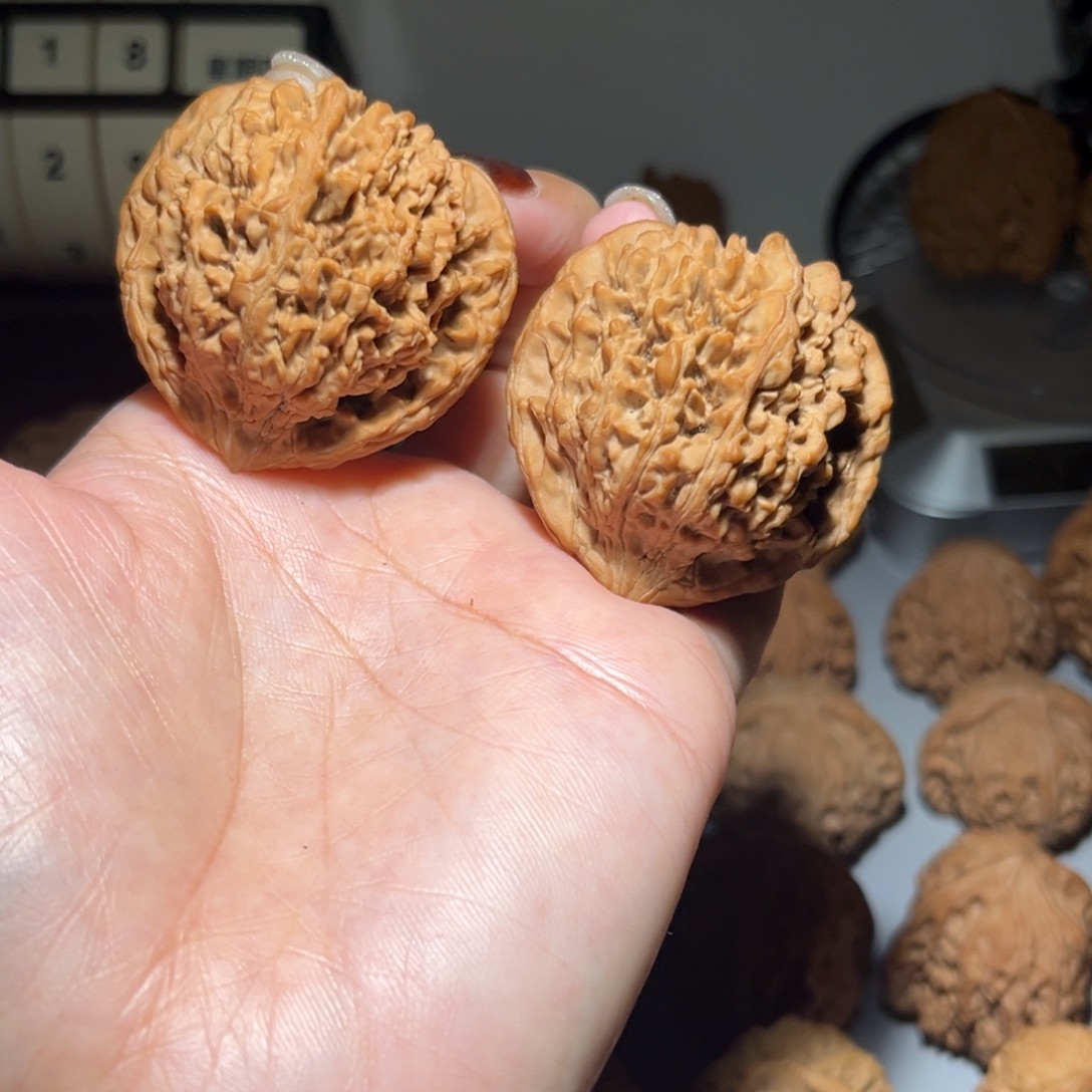 木质类漫天星44全品