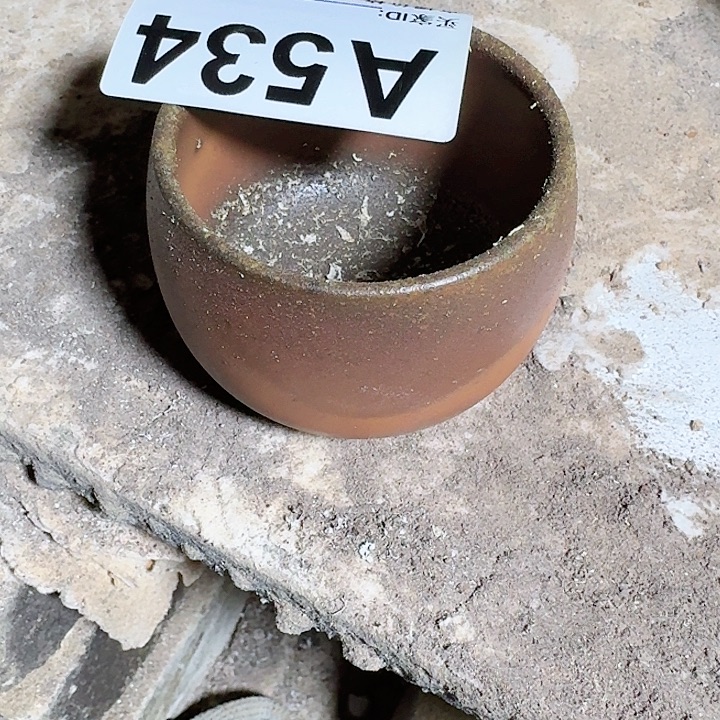 当***月紫砂茶壶坭兴陶柴烧