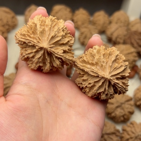 桃核吊坠夜*香秦岭山脉的一个21